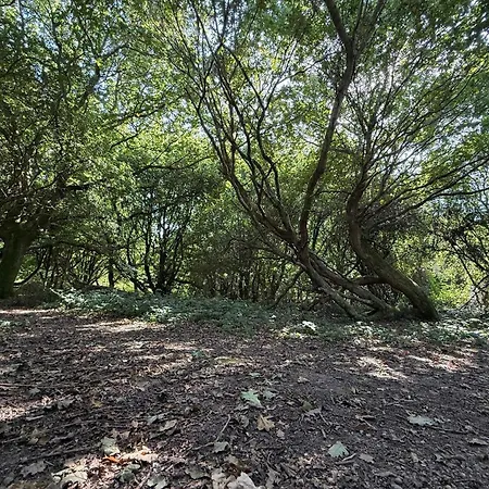 8 Person In Vakantiehuis