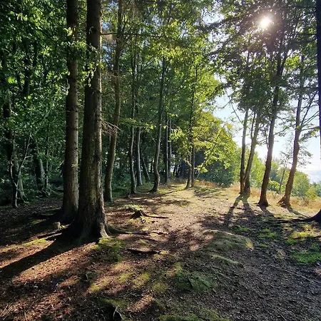 8 Person In Vakantiehuis Børkop